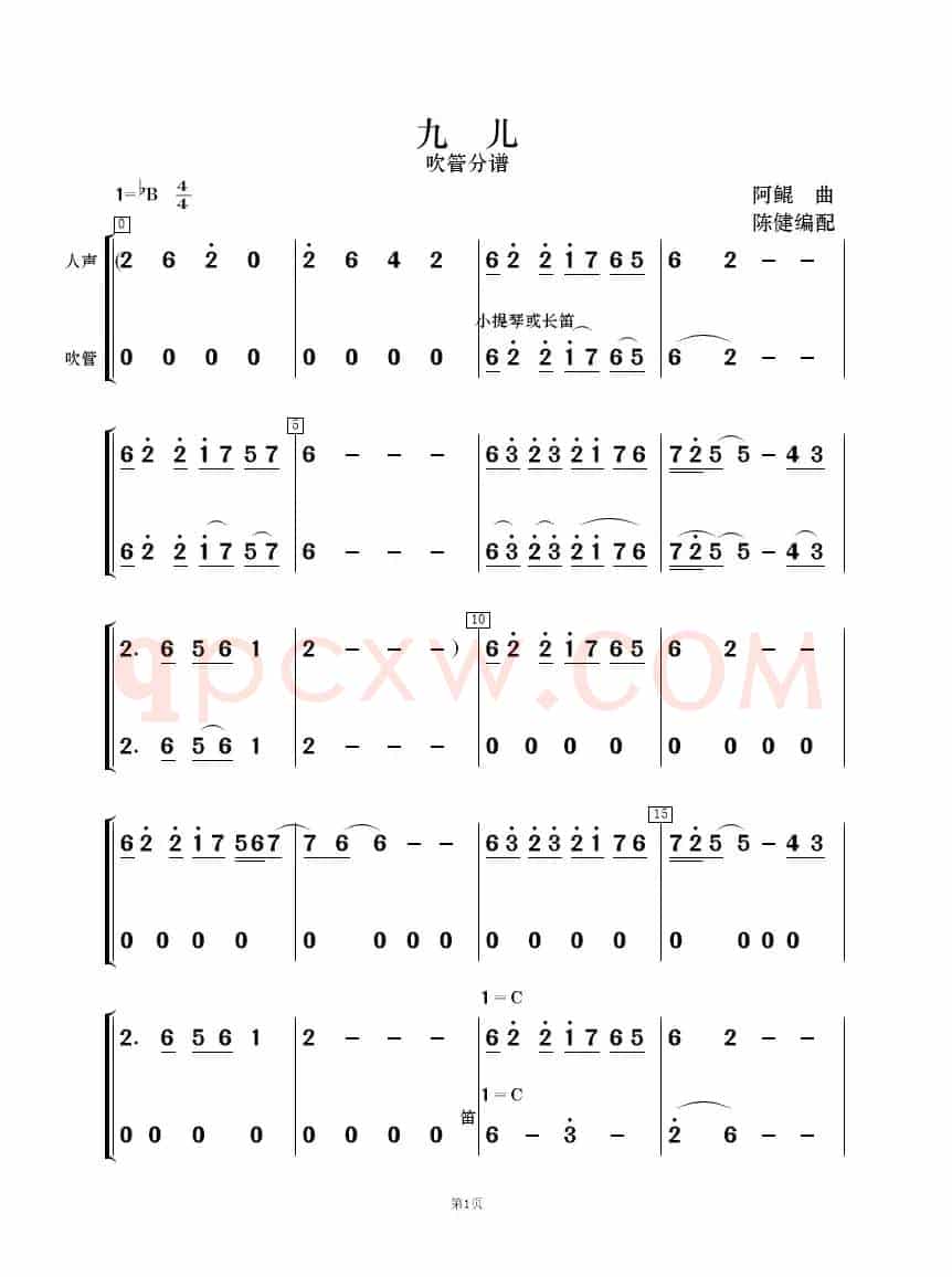 九儿（歌唱与乐队）