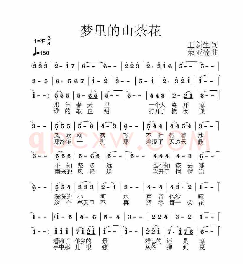 梦中的山茶花