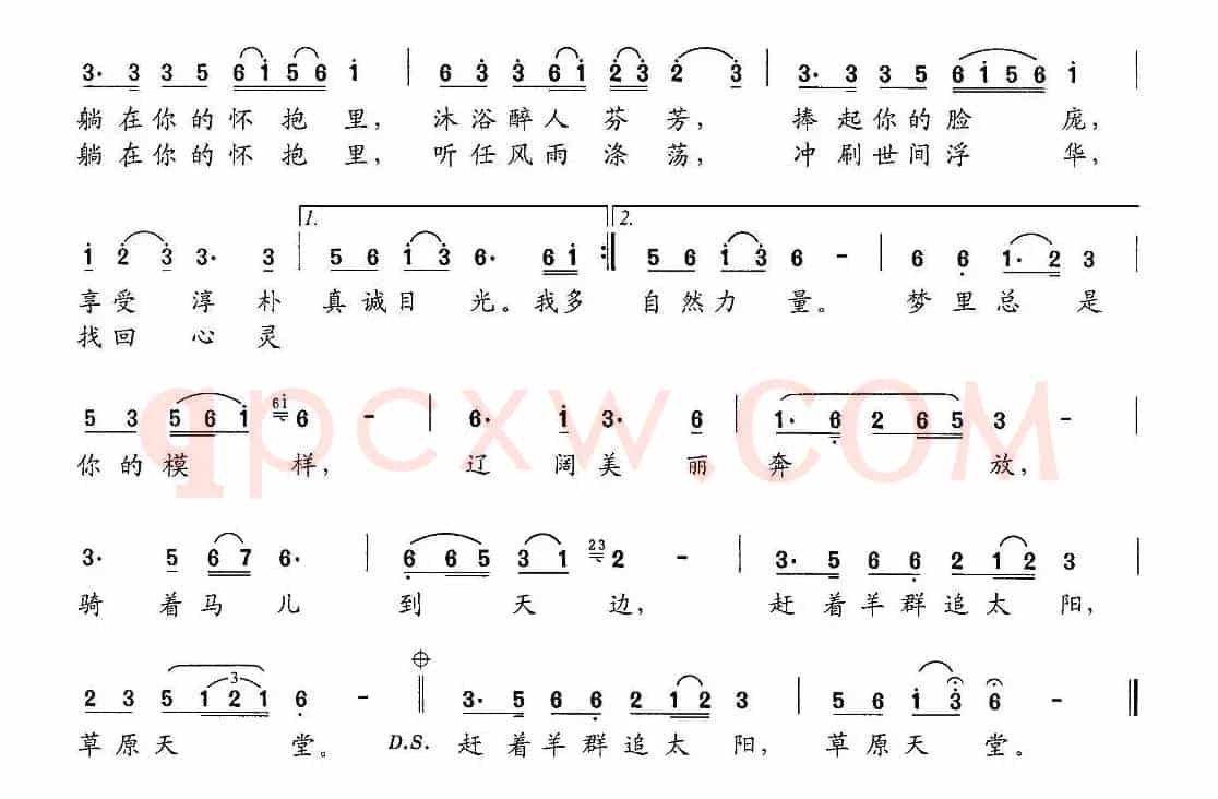 追恋(白子江 词曲)