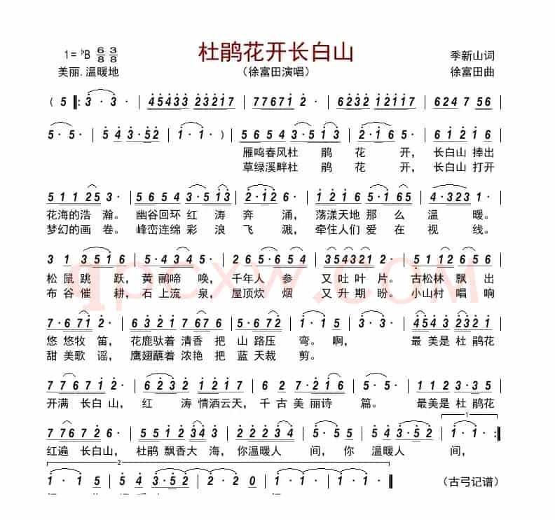 杜鹃花开长白山