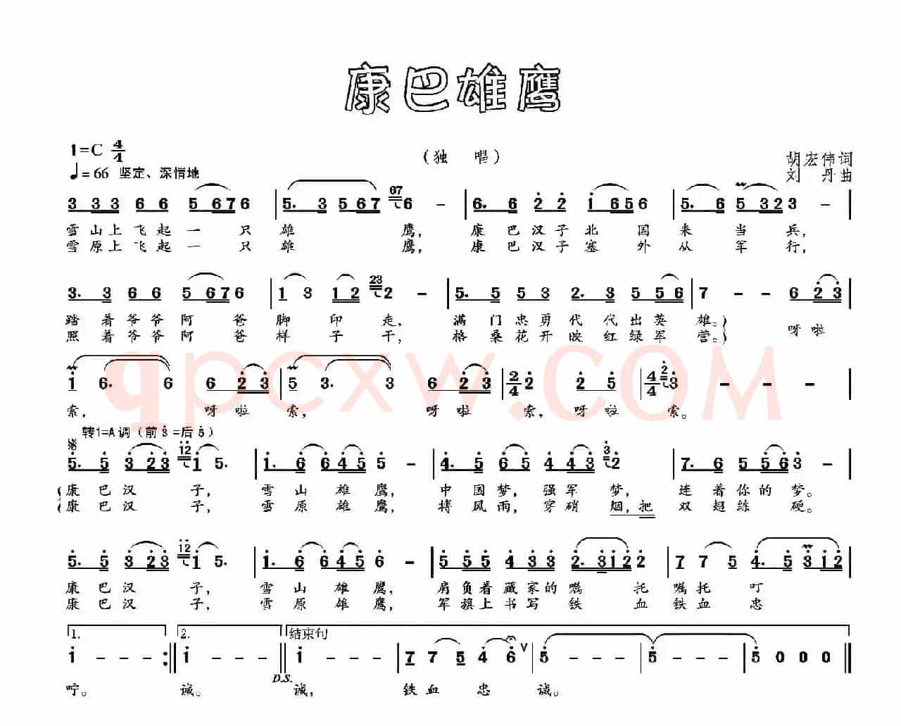 康巴雄鹰