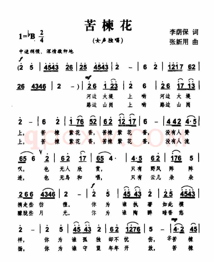 苦楝花（张新用曲）