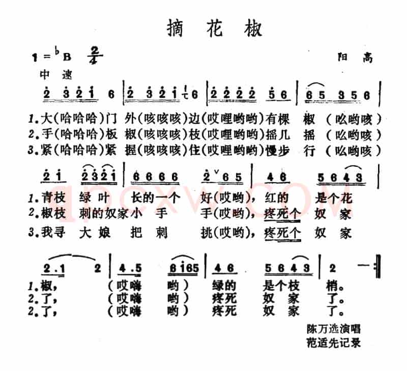 摘花椒 （山西阳高山歌）