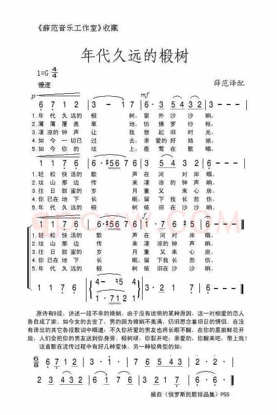 年代久远的椴树