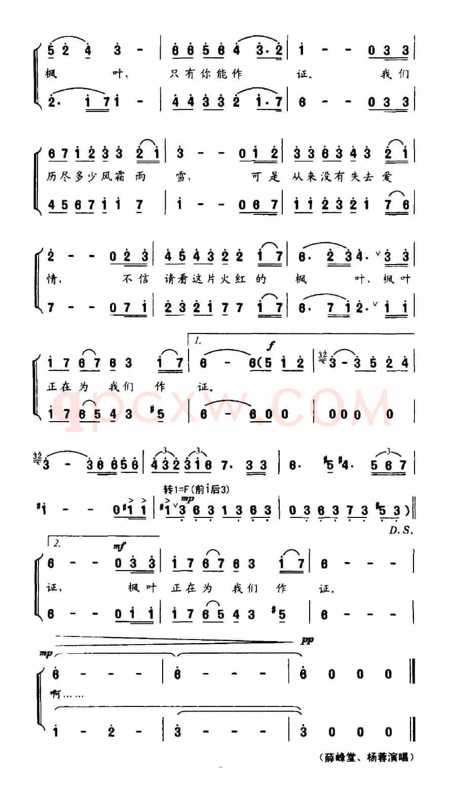 枫叶作证
