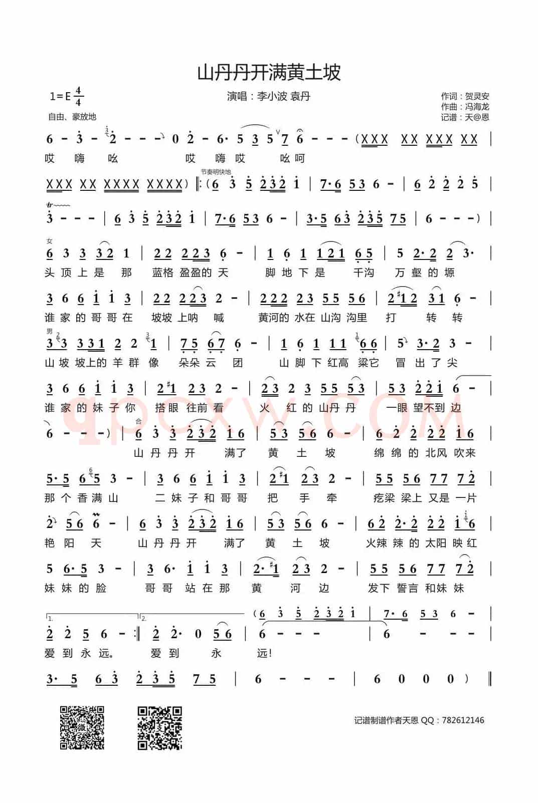 山丹丹开满黄土坡