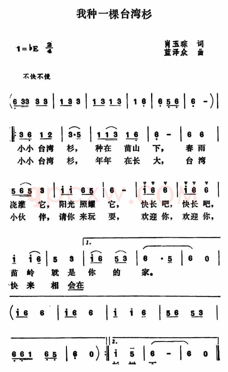 我种一棵台湾杉