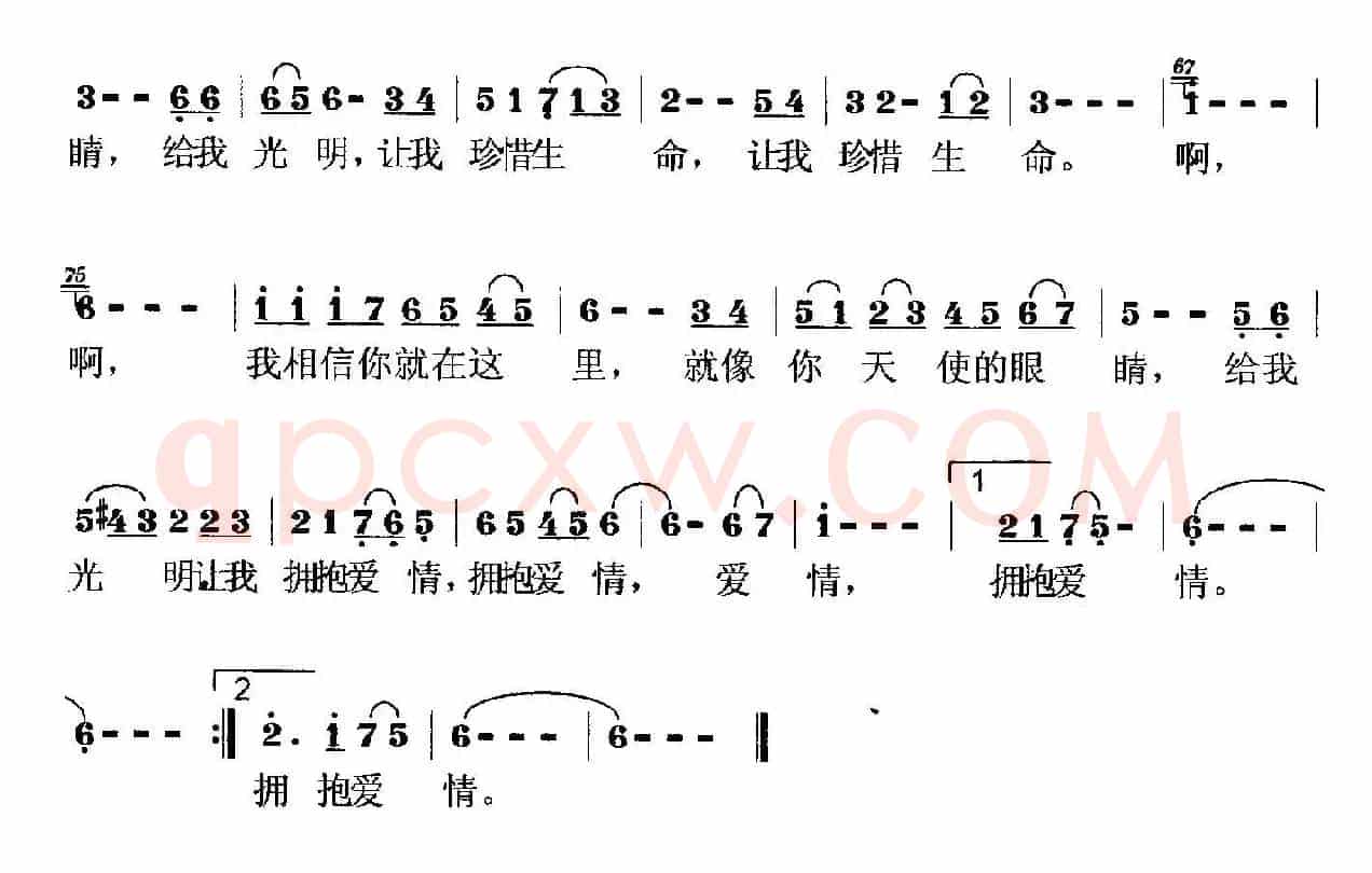 天使的眼睛