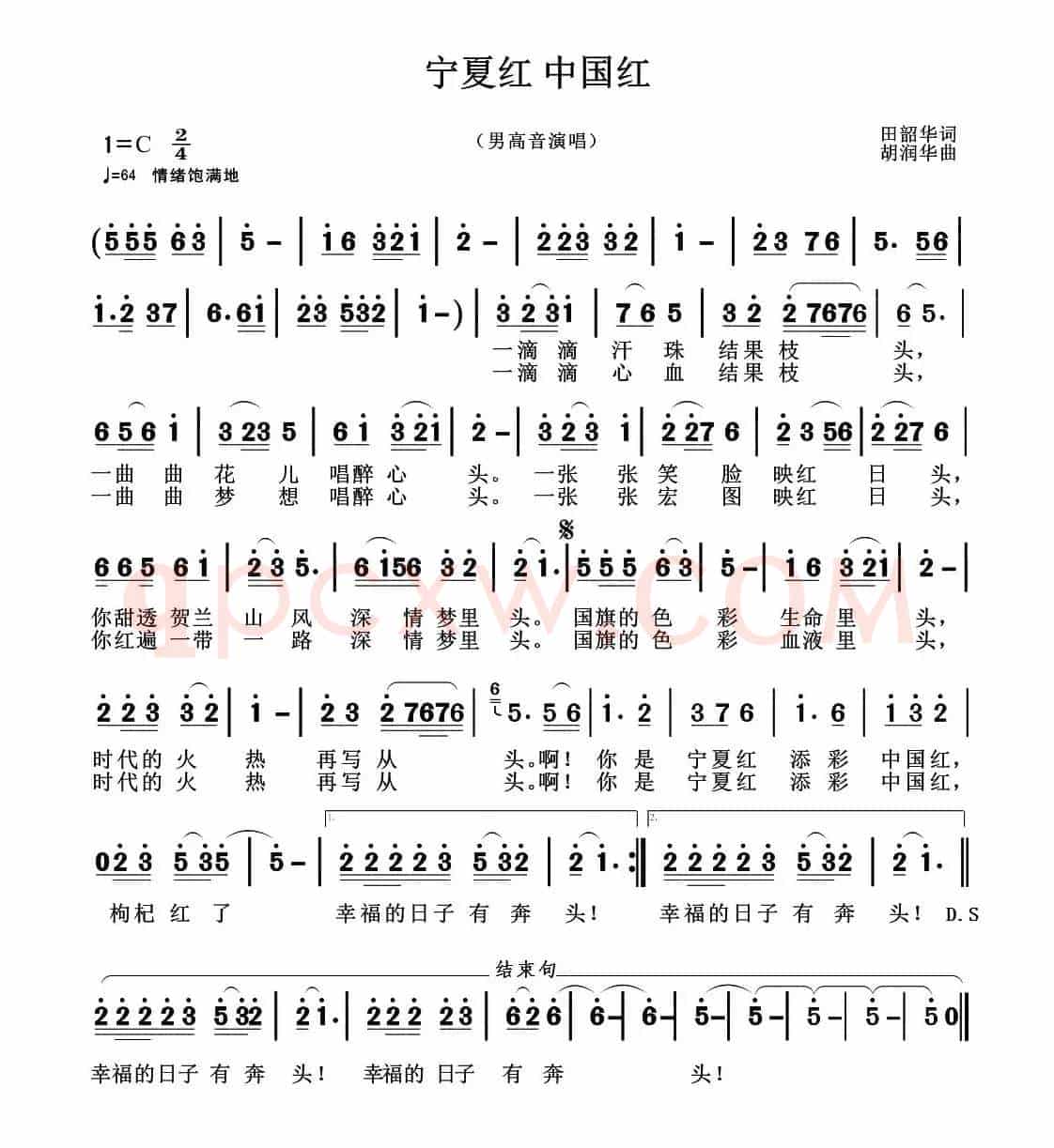 宁夏红 中国红