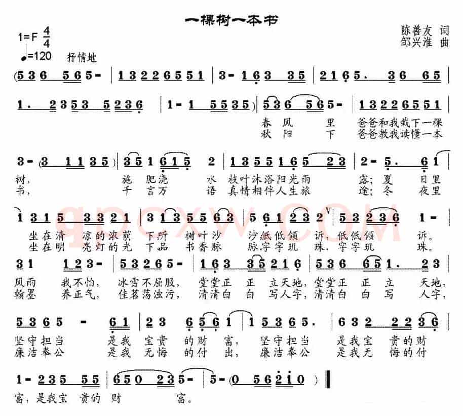 一棵树一本书