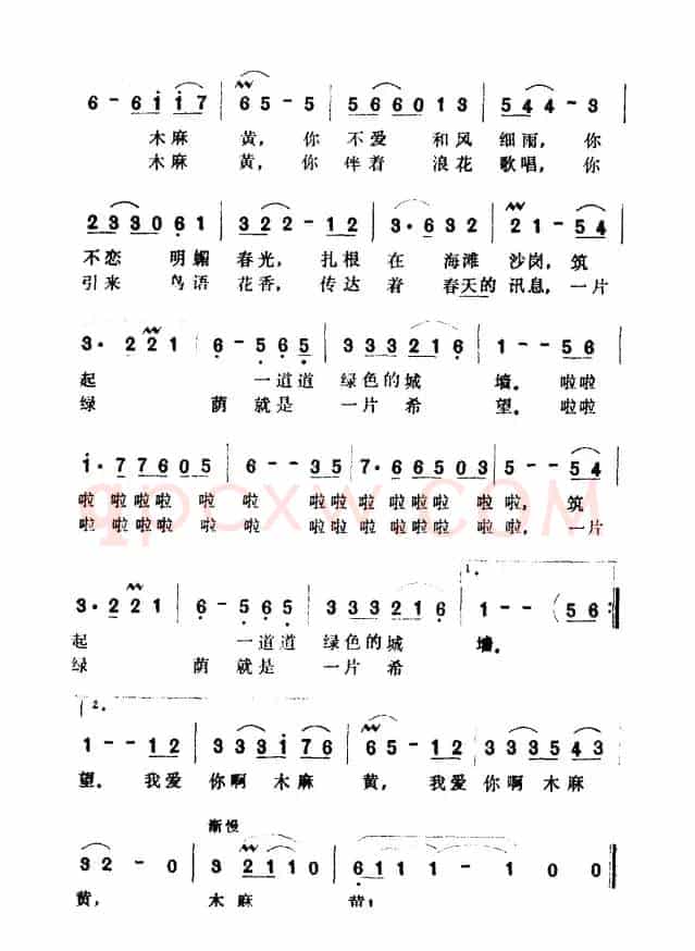 我爱你啊，木麻黄