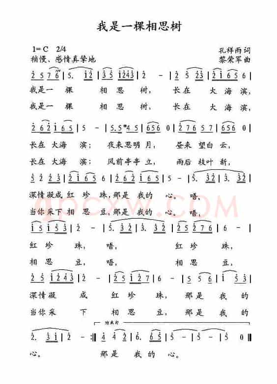 我是一棵相思树