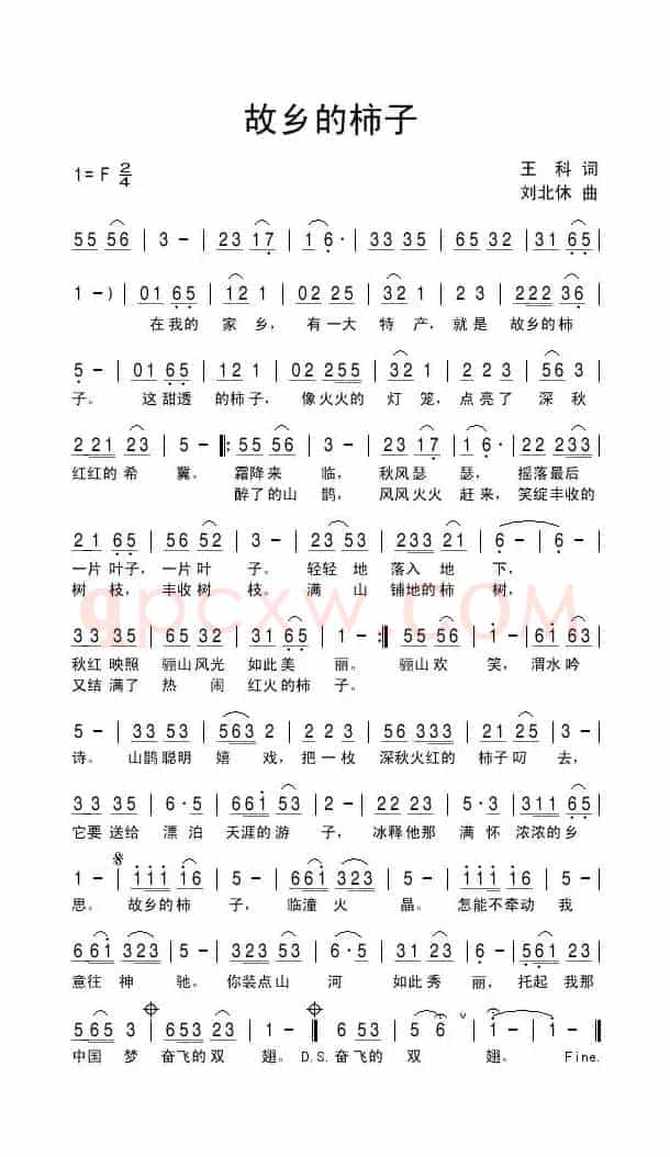 故乡的柿子
