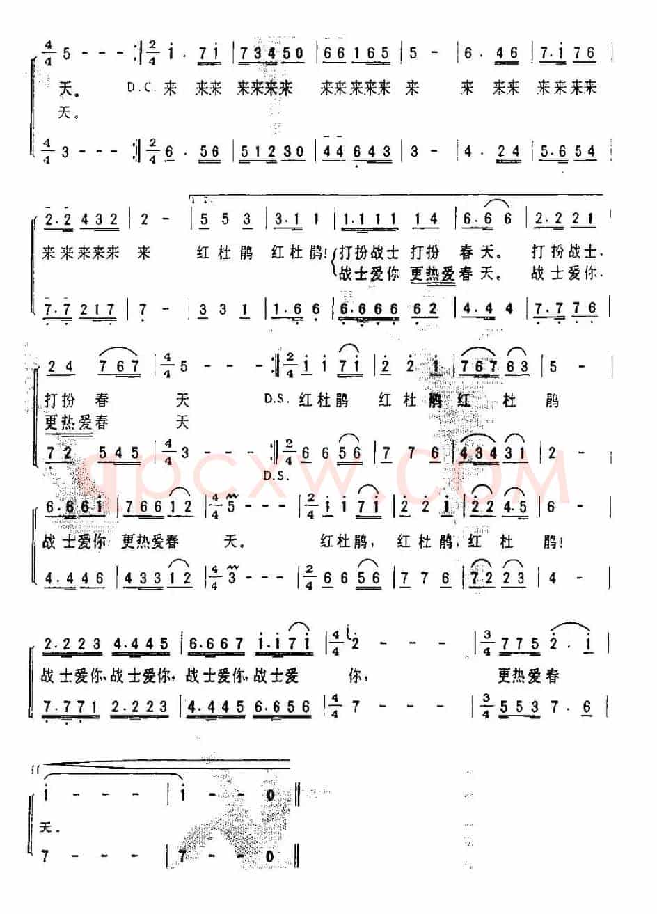 战士·杜鹃·春天（女声二重唱）