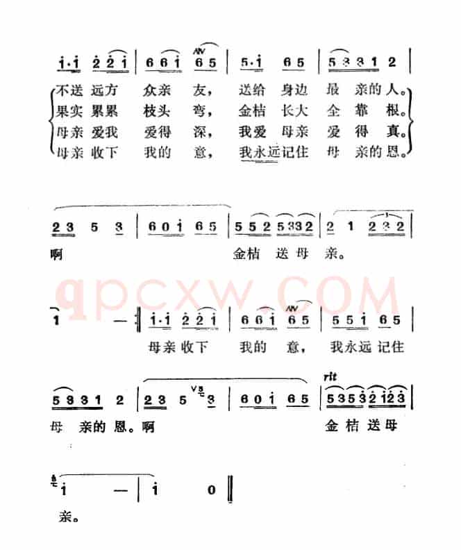 金桔送母亲