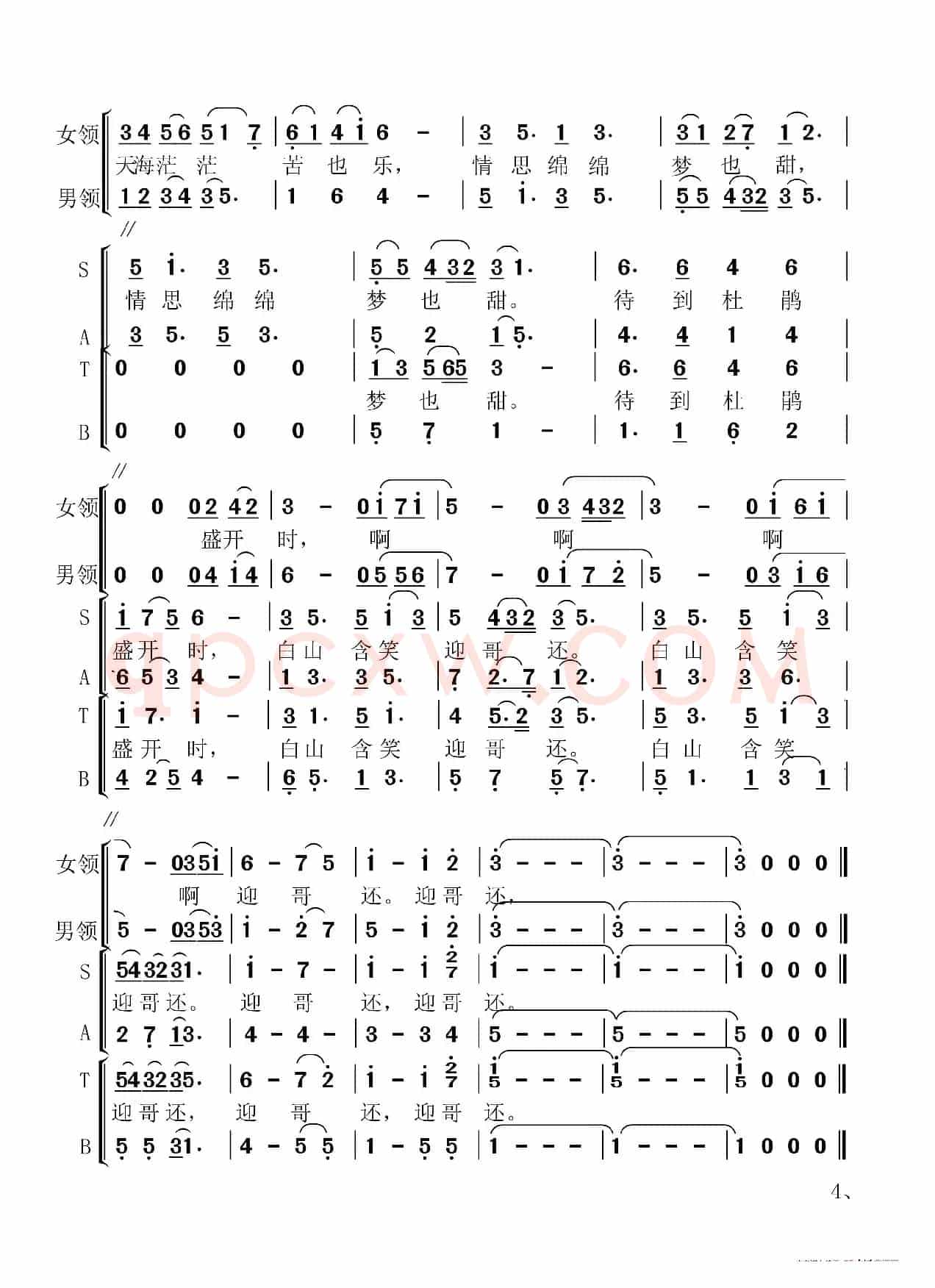 南海之恋