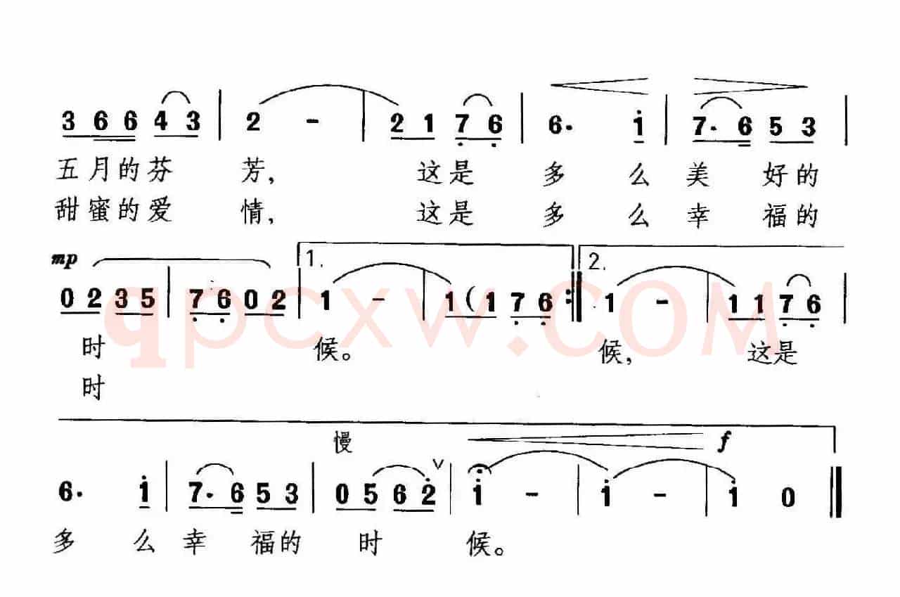 丁香花开的时候