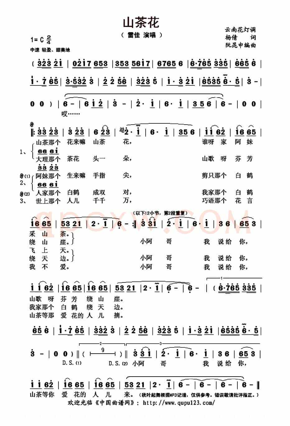 山茶花(又名:山茶说)