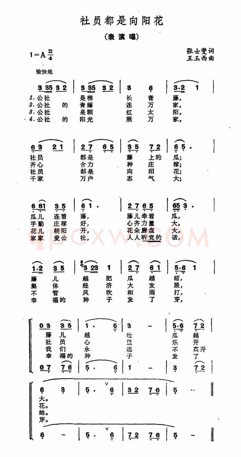 向阳花（又名：社员都是向阳花）