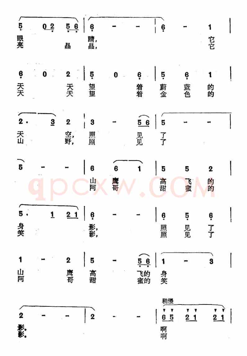 泉水一样的眼睛