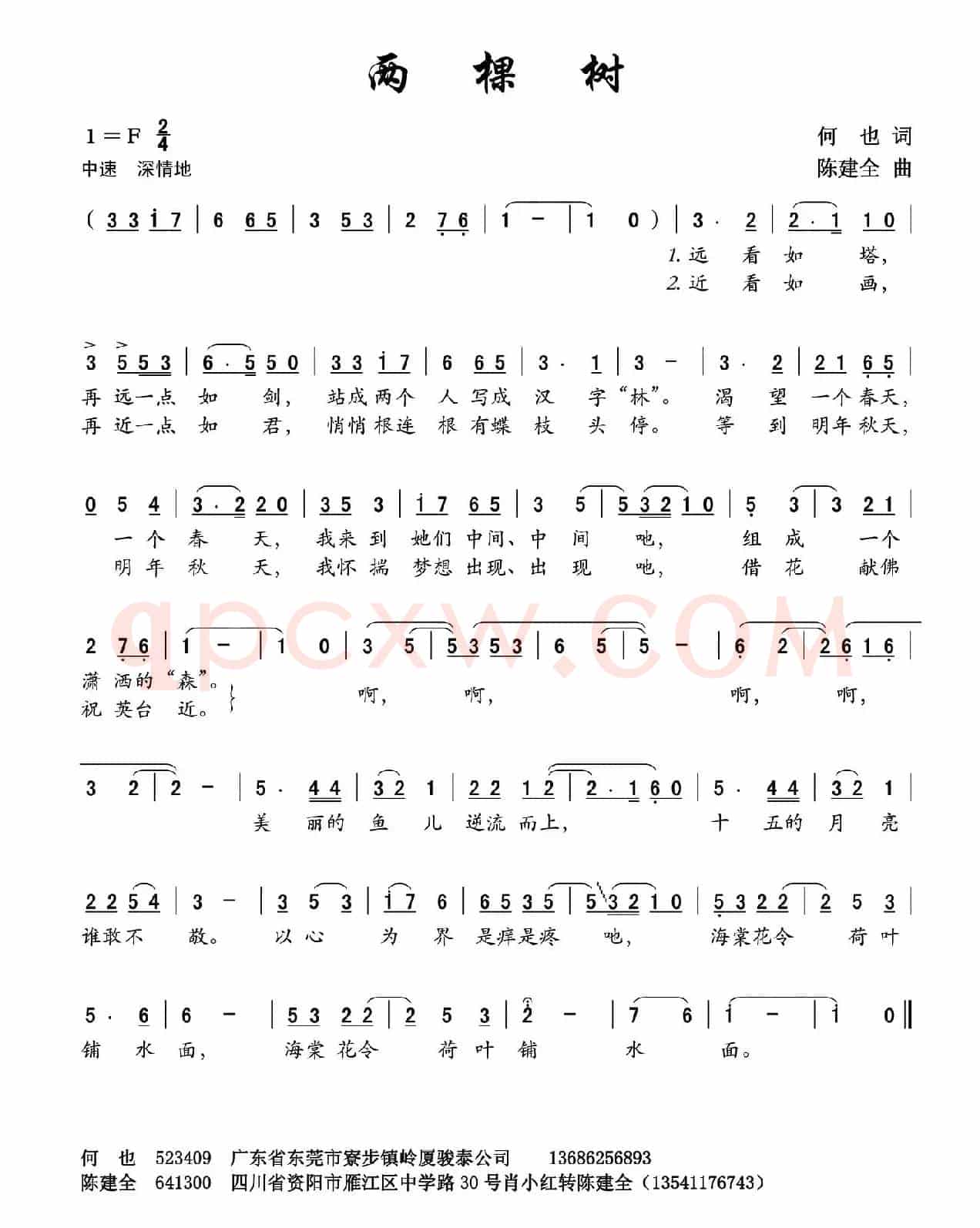 两棵树（何也词 陈建全曲）