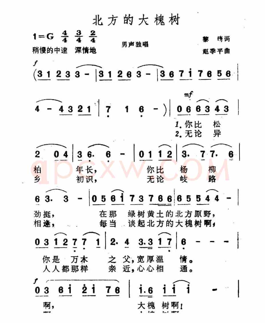 北方的大槐树（黎琦词 赵季平曲）