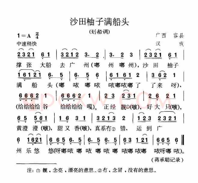 沙田柚子满船头