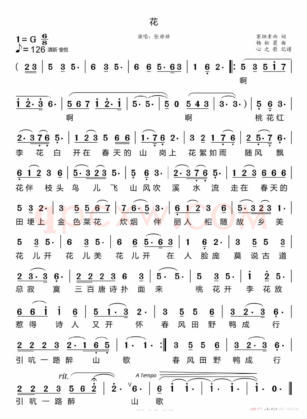 花（张婷婷）