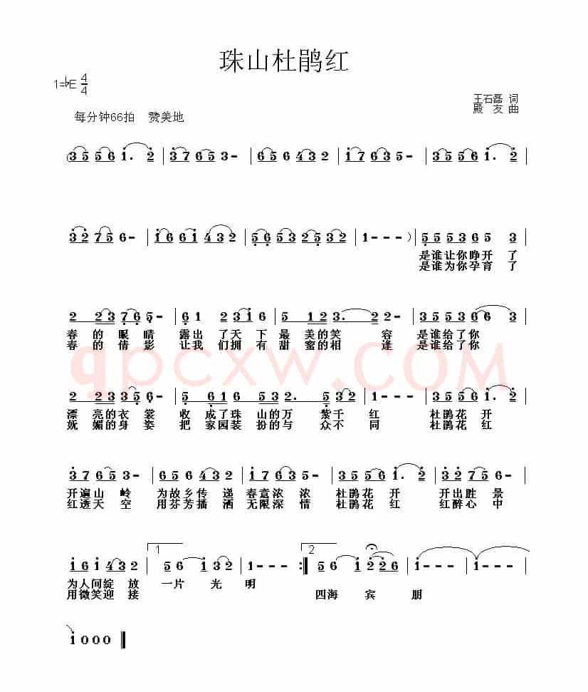 杜鹃花红