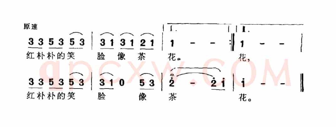 瑶山茶花