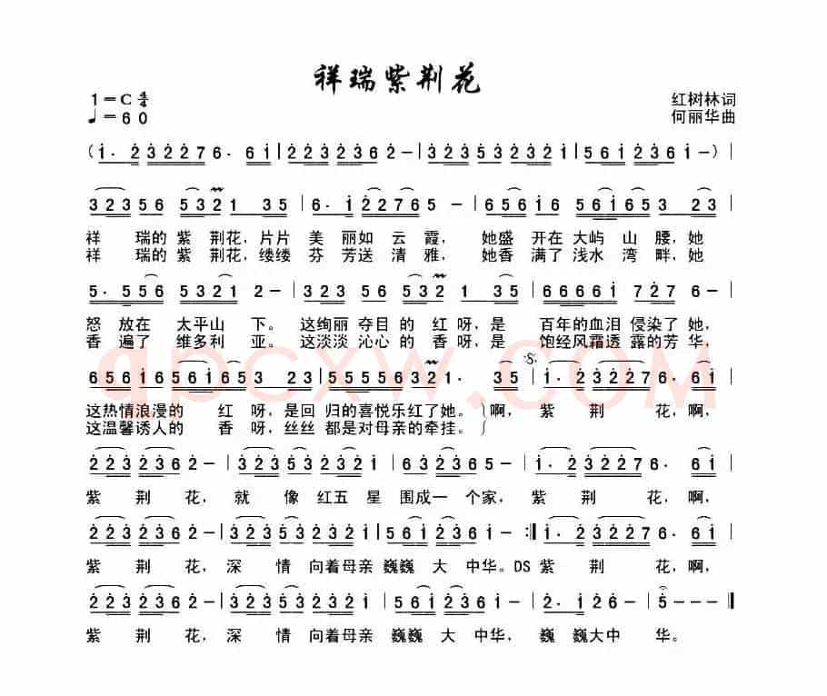瑞祥紫金花