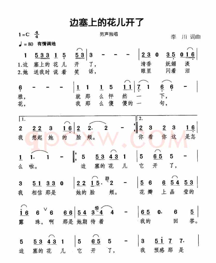边寨上的花儿开了