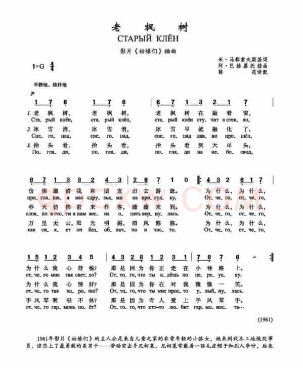 老枫树Старый клён（中俄简谱）
