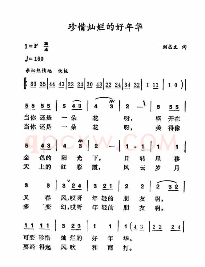 珍惜灿烂的好年华