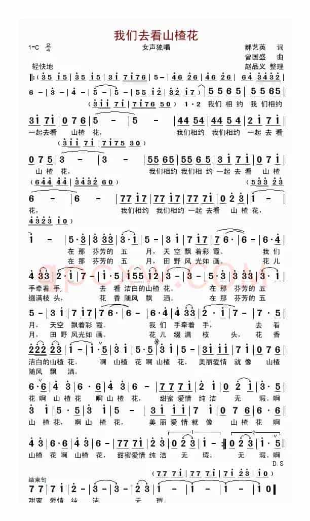 我们去看山楂花