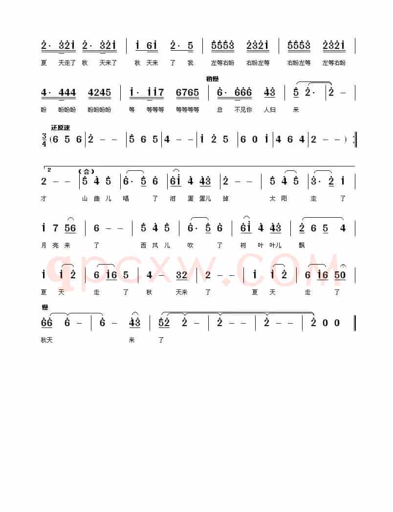 新想亲亲
