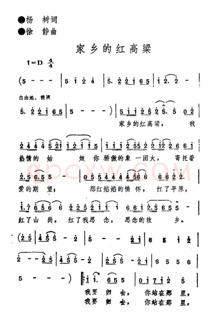 家乡的红高粱