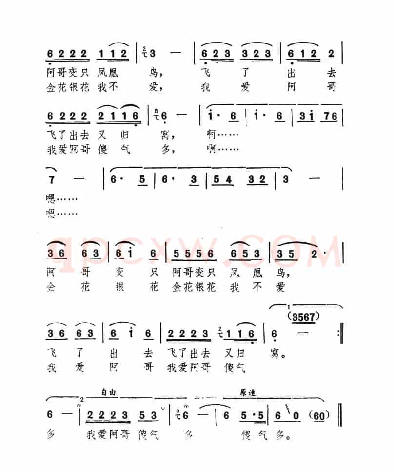 我爱阿哥傻气多
