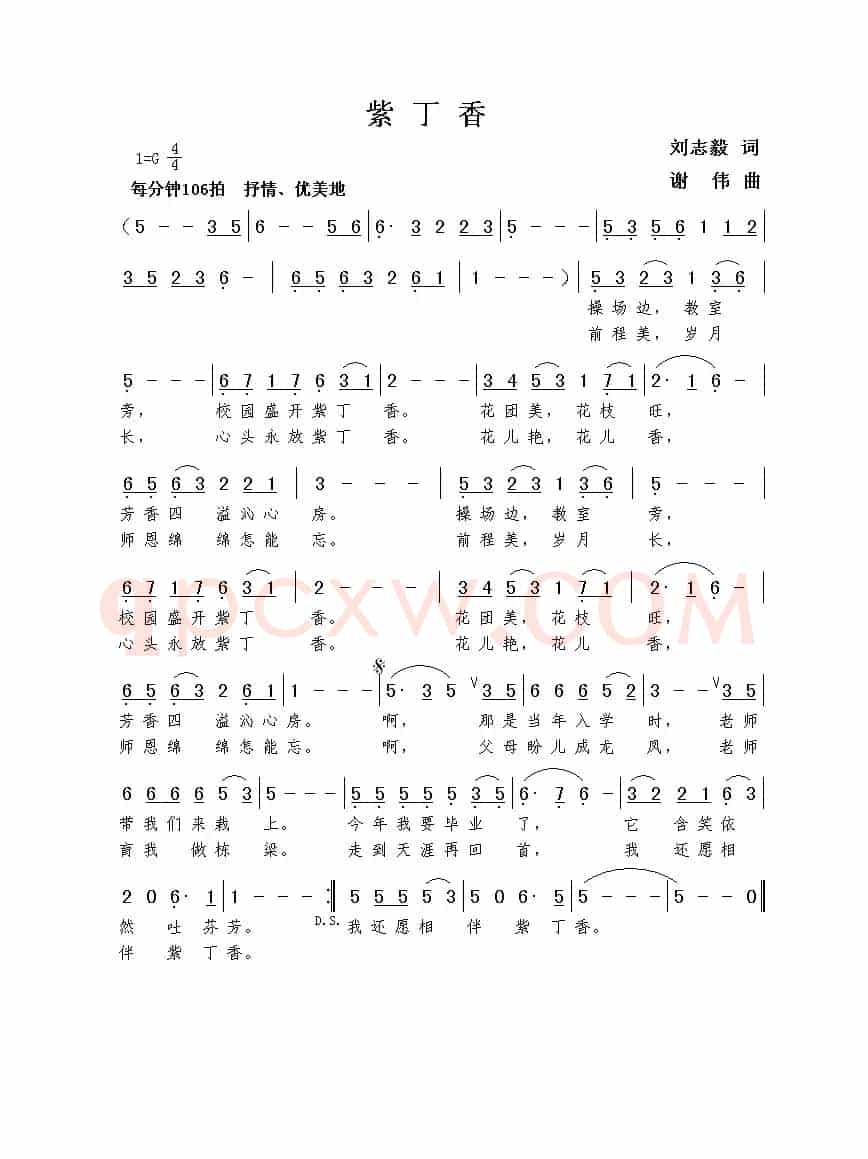 紫丁香（刘志毅词  谢伟曲）