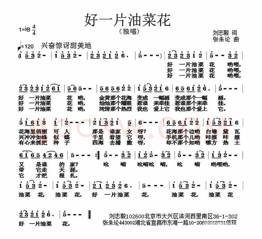 好一片油菜花（刘志毅词 张朱论曲）