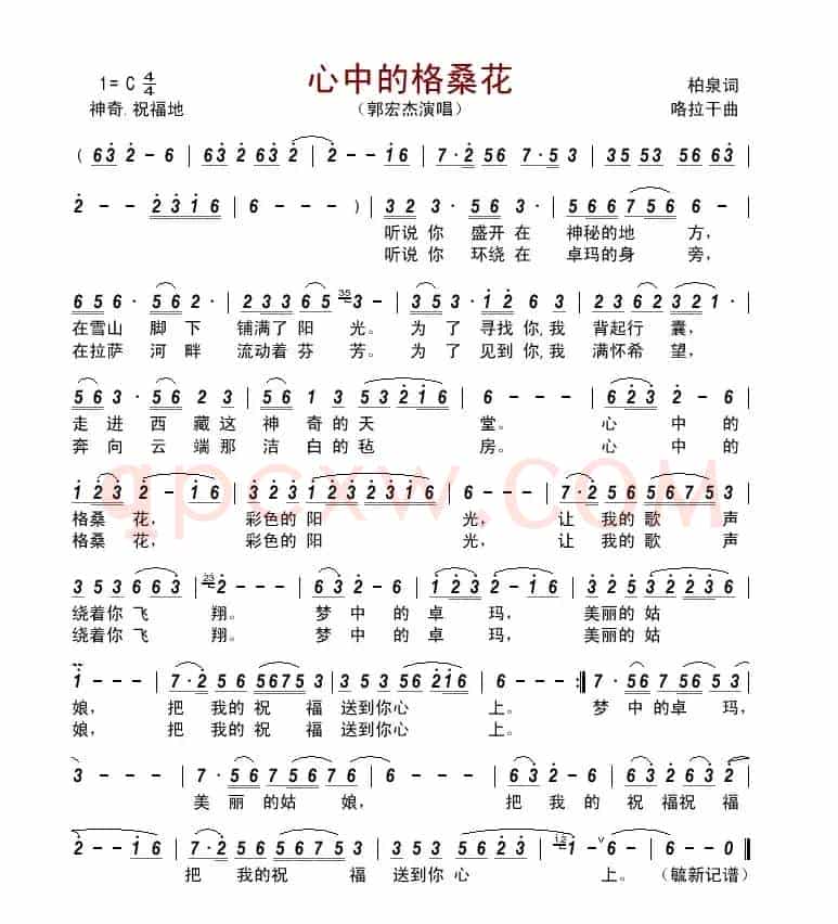 心中的格桑花