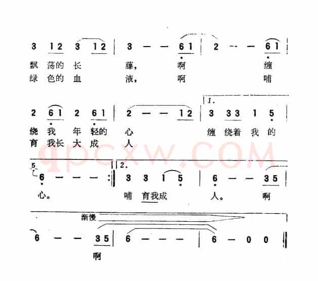 静静的密林（李建峰词 邝潞曲）