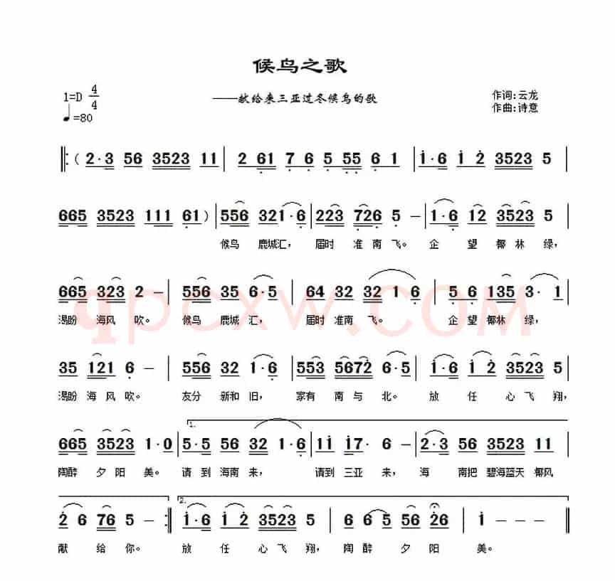 候鸟之歌