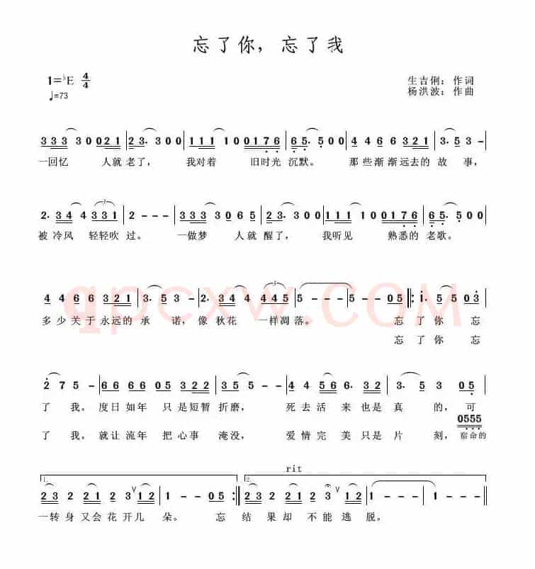 忘了你忘了我（电影《黑手》片尾曲）