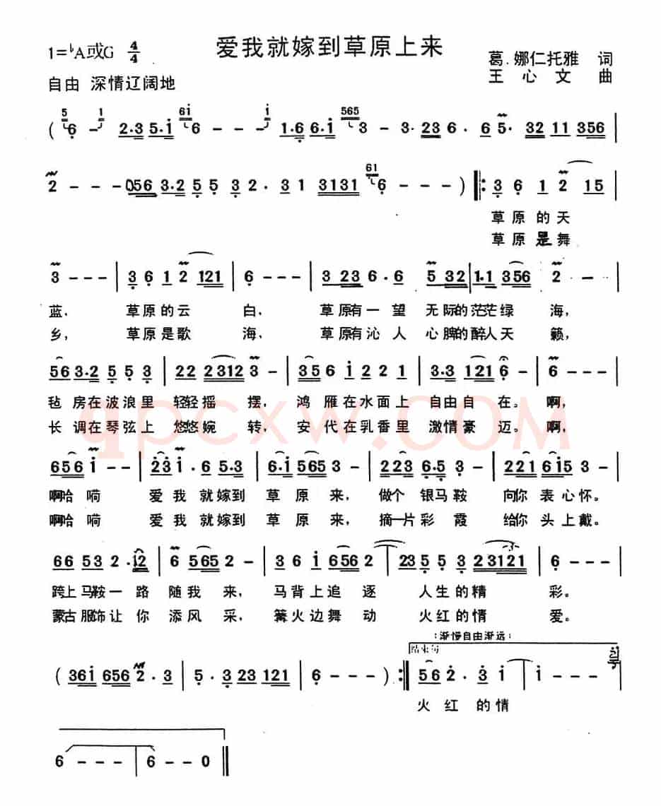 爱我就嫁到草原来（葛·娜仁托雅词 王心文曲）
