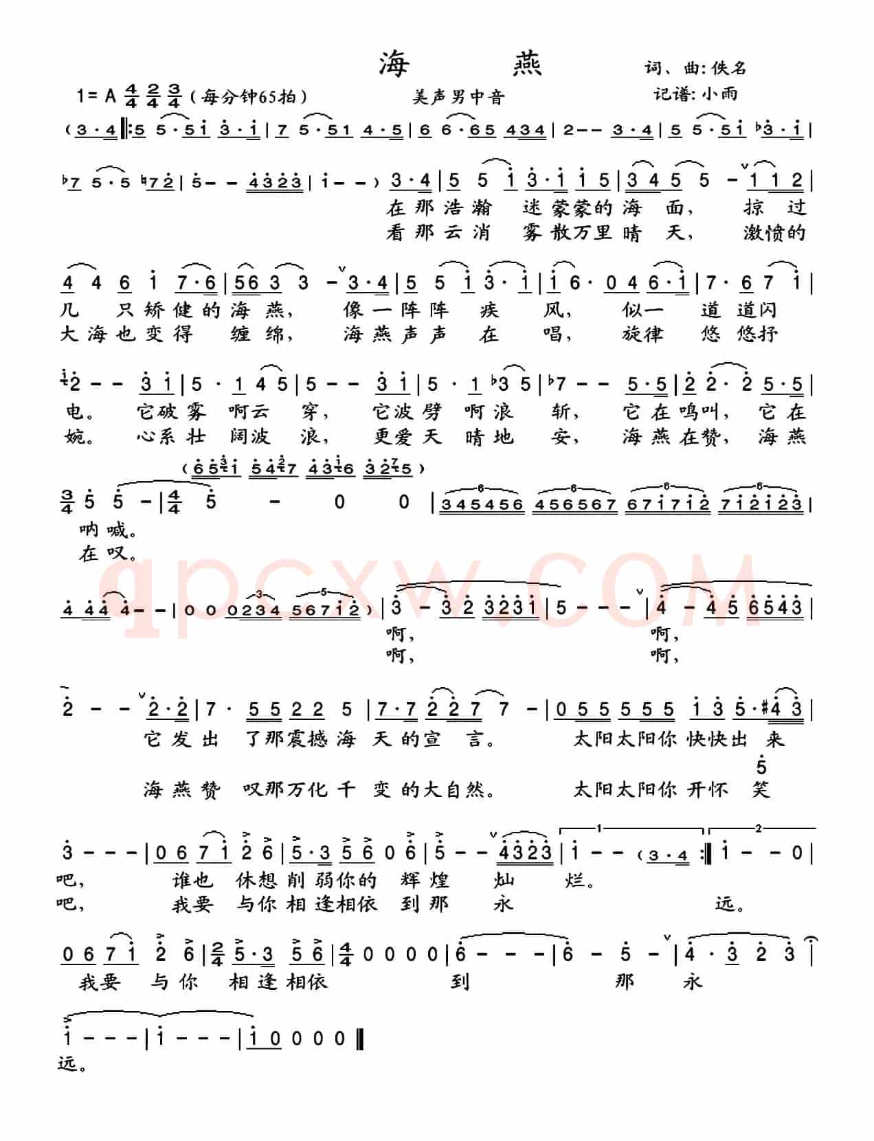 海燕(志同词 晓其曲)
