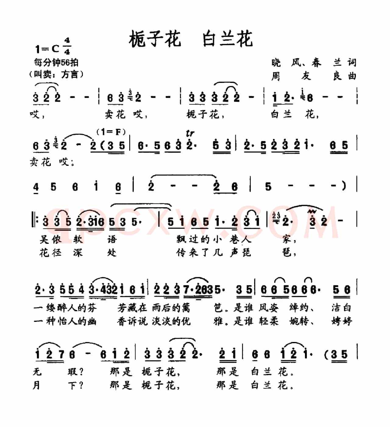 栀子花 白兰花