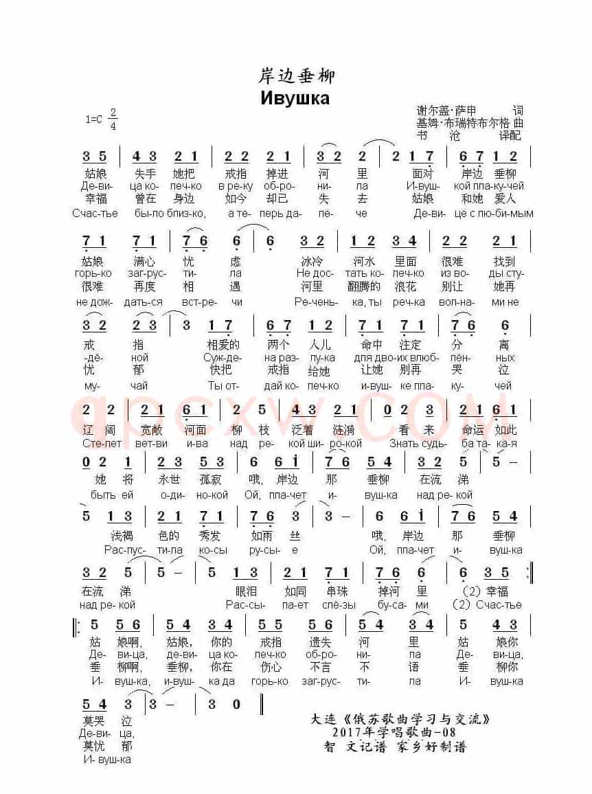 岸边垂柳 Ивушка（中俄简谱）