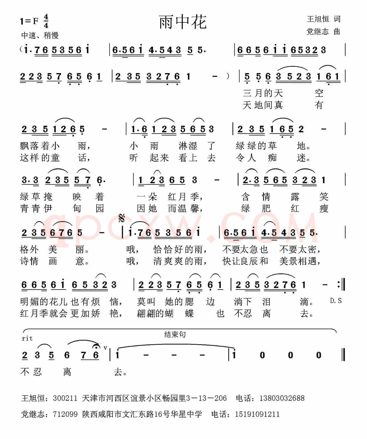 雨中花 （王旭恒词 党继志曲）