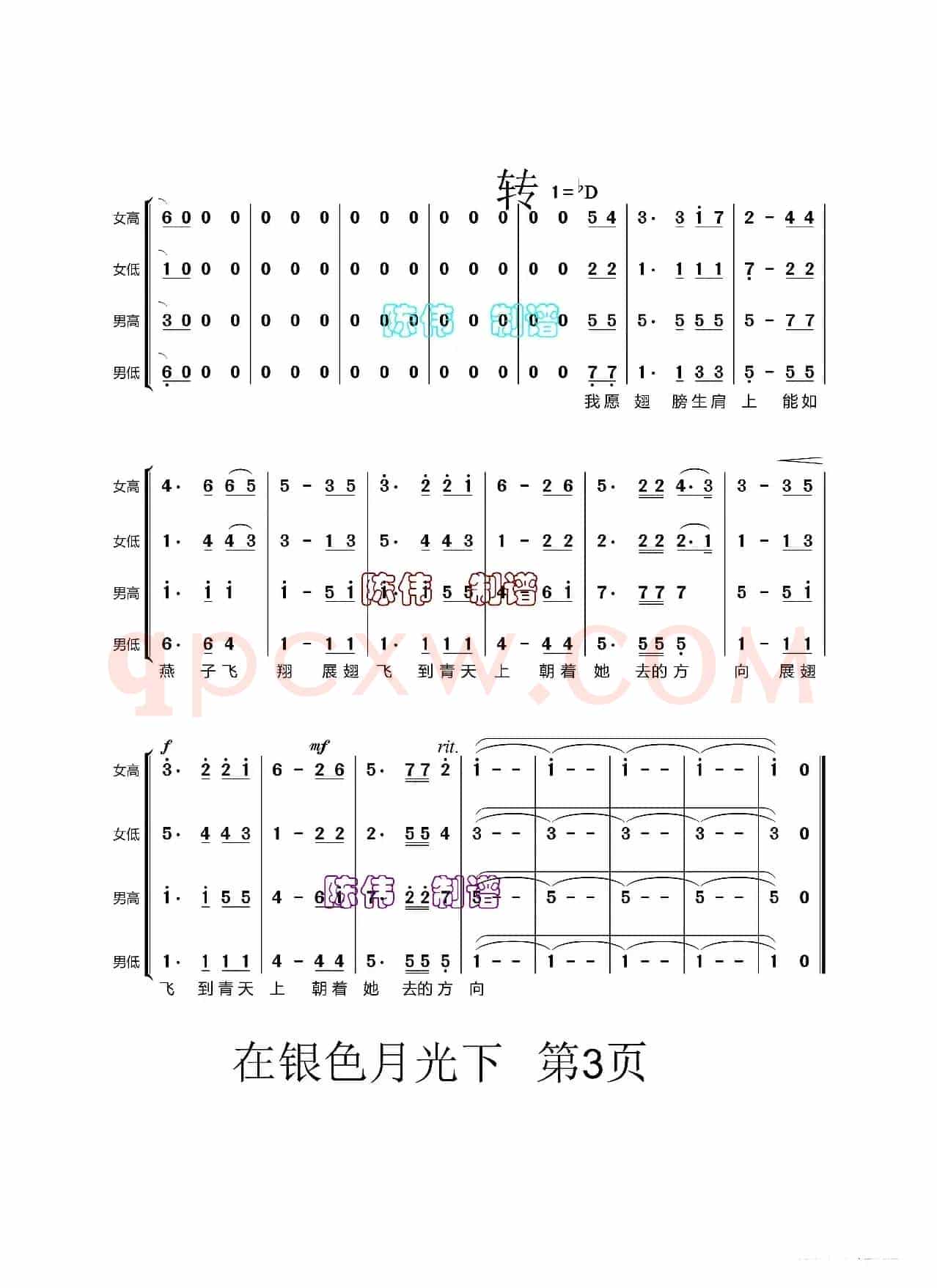 在银色的月光下